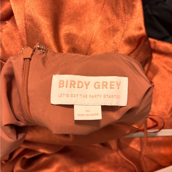 Birdy Grey Lydia Dress Terracotta Color in Shiny Satin - Picture 2 of 4